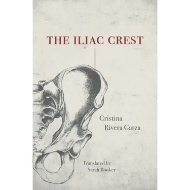The Iliac Crest
