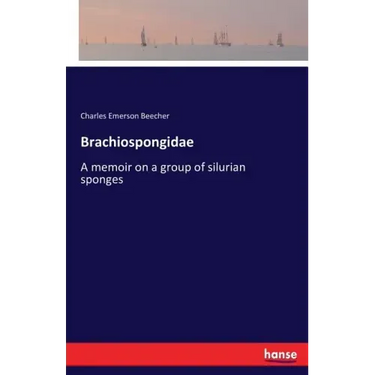 Brachiospongidae: A memoir on a group of silurian sponges
