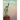 Moon Magic