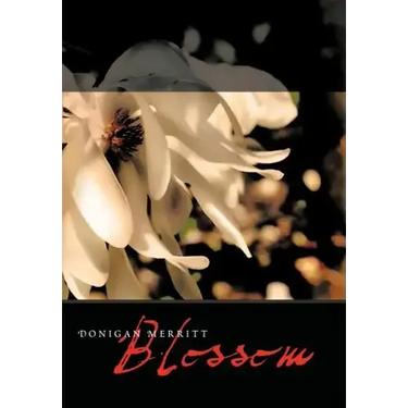 Blossom