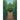 The Cornfield Maze Mystery