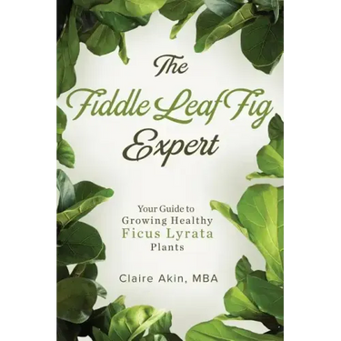 The Fiddle Leaf Fig Expert: Your Guide to Growing Healthy Ficus Lyrata Plants