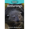 Binturongs