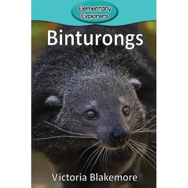 Binturongs