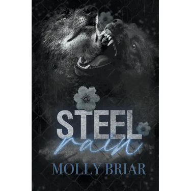 Steel Rain