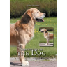 Structure of the Dog: Basic Course