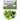 Green Smoothies Bible: The Detox And Cleansing System to Lower Cholesterol and Glucose Levels, keeps You feeling Fuller For Longer, and Regul