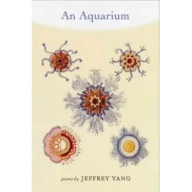 An Aquarium