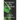 Grïgnyr the Ecordian: A Retelling of the Eye of Argon