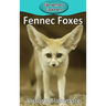 Fennec Foxes