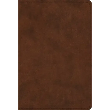 Study Bible-ESV-Personal Size