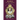 Hero in the Storm: Pius IX Against the Revolution