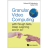 Granular Video Computing