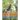 ISA Certified Arborist Unofficial Self-Practice Review Questions
