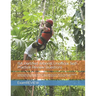 ISA Certified Arborist Unofficial Self-Practice Review Questions