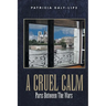 A Cruel Calm: Paris Between The Wars (Latest Edition)