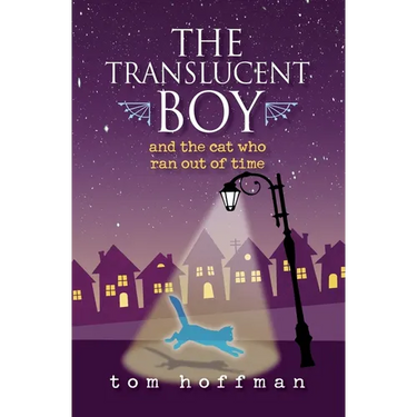 The Translucent Boy and the Cat Who Ran Out of Time
