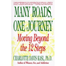Many Roads One Journey: Moving Beyond the Twelve Steps
