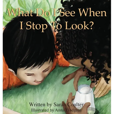 What Do I See When I Stop To Look?