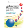 An Excursion in Diagrammatic Algebra