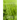 Growing in Christian Faith: A Book of Daily Readings