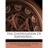 The Gastrulation of Amphioxus...