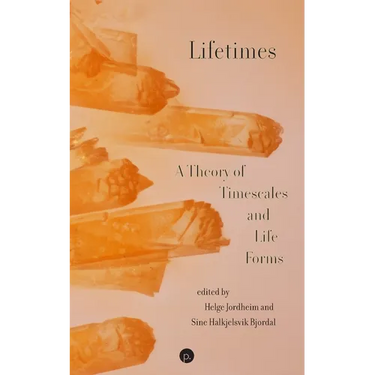 Lifetimes: A Theory of Timescales and Life Forms