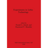 Experiments in Lithic Technology