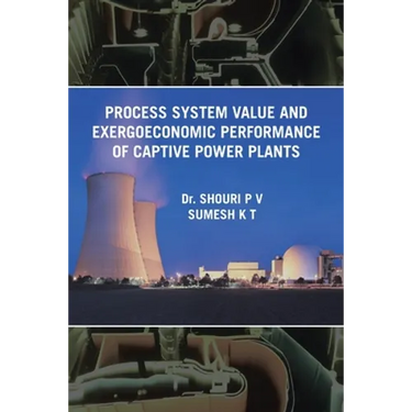 Process System Value and Exergoeconomic Performance of Captive Power Plants
