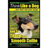 Smooth Collie, Smooth Coat Collie Training AAA AKC Think Like a Dog But Don't Eat Your Poop! Smooth Collie Breed Expert Training: Here's EXACTLY How T