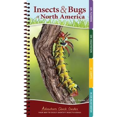 Insects & Bugs of North America: Your Way to Easily Identify Insects & Bugs