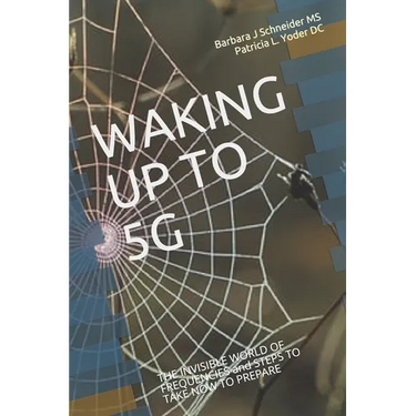 Waking Up to 5g: THE INVISIBLE WORLD OF FREQUENCIES and STEPS TO TAKE NOW TO PREPARE