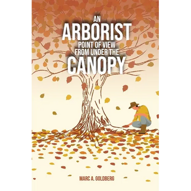 An Arborist Point Of View From Under The Canopy