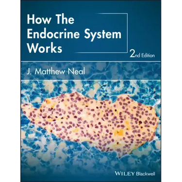 How the Endocrine System Works