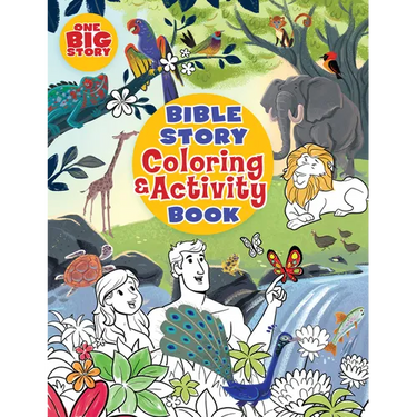 Bible Story Coloring and Activity Book