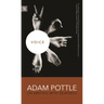 Voice: Adam Pottle on Writing with Deafness