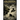 Forlorn Hope