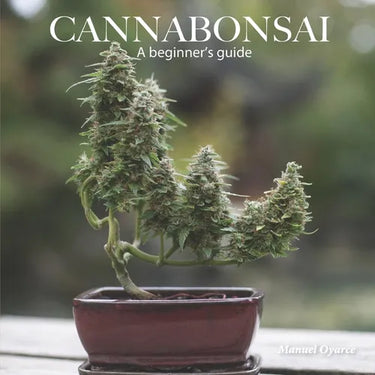Cannabonsai: A Beginners Guide