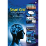 Smart Grid: Concepts To Design
