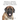 Medical, Genetic & Behavioral Risk Factors of Mastiffs