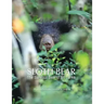 Sloth Bear: The Barefoot Bear of Sri Lanka