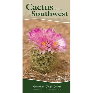 Cactus of the Southwest: Your Way to Easily Identify Cacti