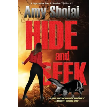 Hide And Seek
