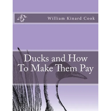 Ducks and How To Make Them Pay