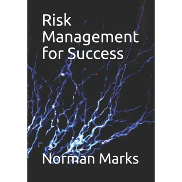 Risk Management for Success