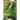 Suicide Bridge