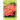 Rose Flower Essences: A New Guide to Natural Healing with 65 Remedies Made From The World's Most Beloved Flower