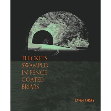 Thickets Swamped in Fence-Coated Briars