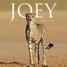 Joey