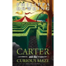 Carter and the Curious Maze: Weird Stories Gone Wrong
